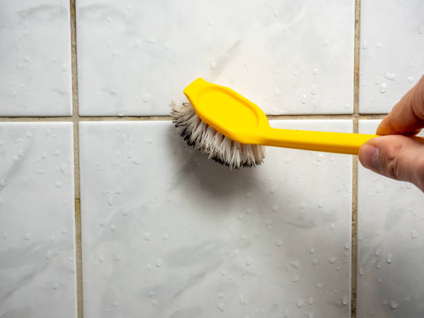 Best Attic Mold Removal  in Gosnell, AR