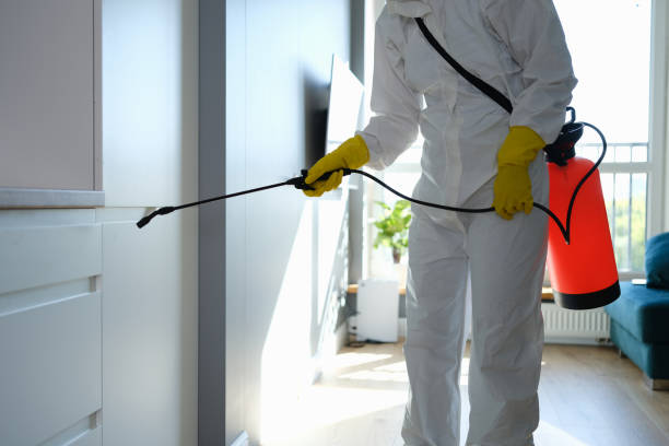 Best Office Mold Removal Services  in Gosnell, AR