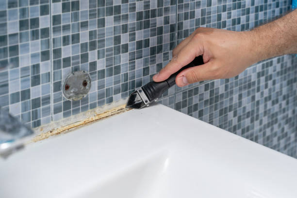 Best Certified Mold Removal  in Gosnell, AR