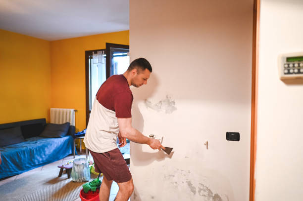 Best Mold Remediation  in Gosnell, AR