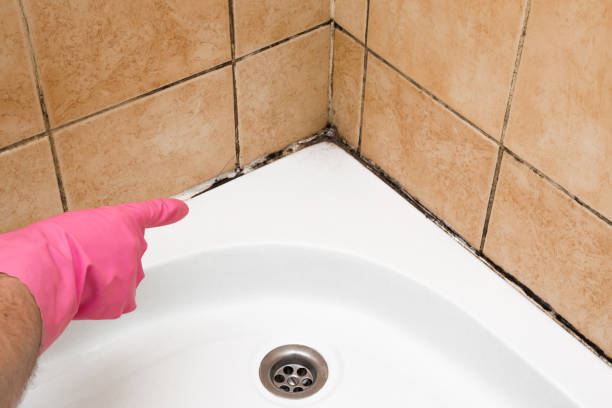 Best Mold Remediation Services  in Gosnell, AR